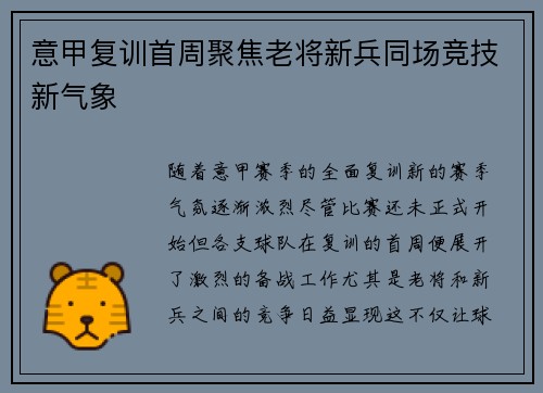 意甲复训首周聚焦老将新兵同场竞技新气象
